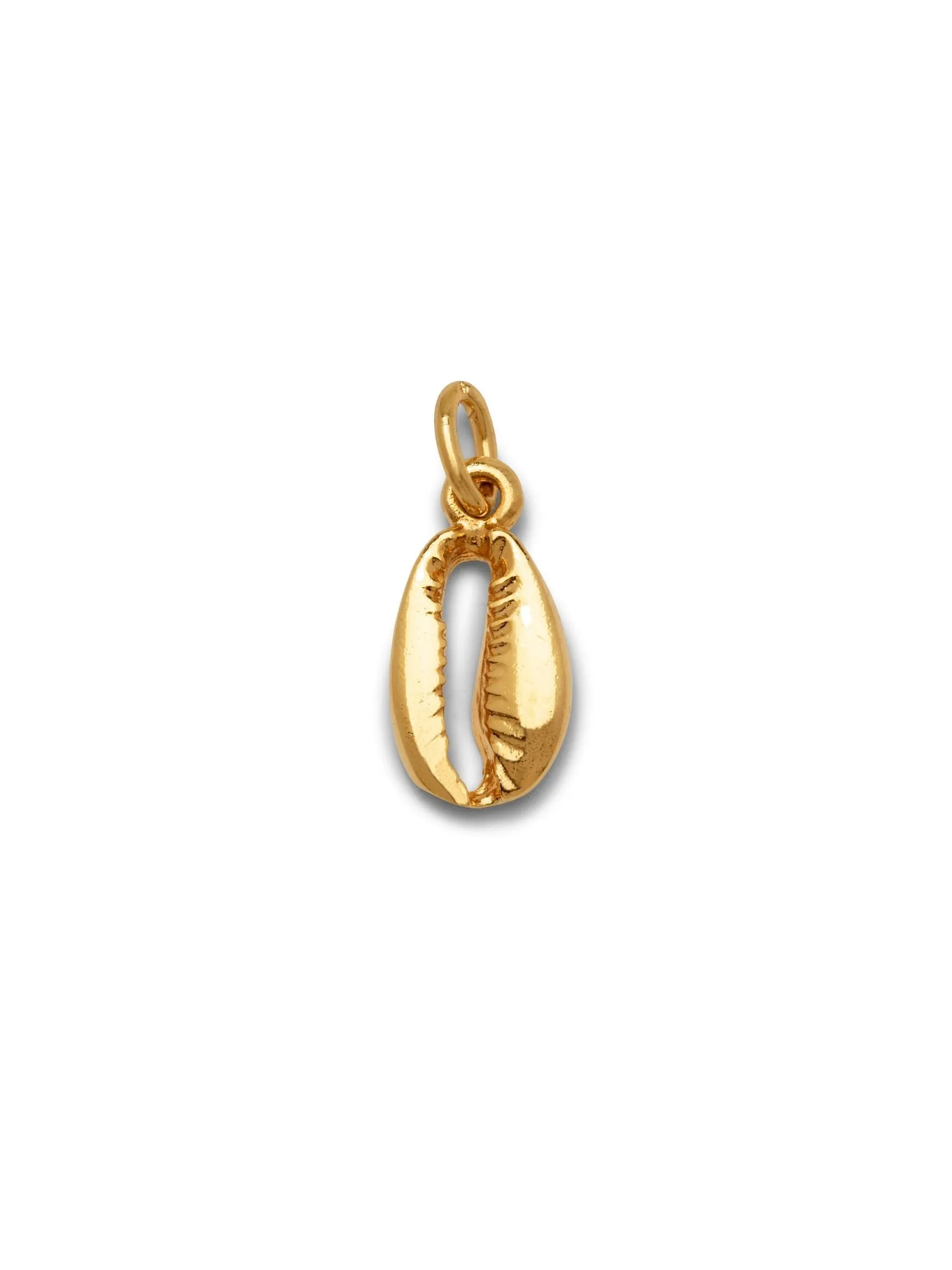 Gold Cowrie Necklace Pendant Charm (sm)