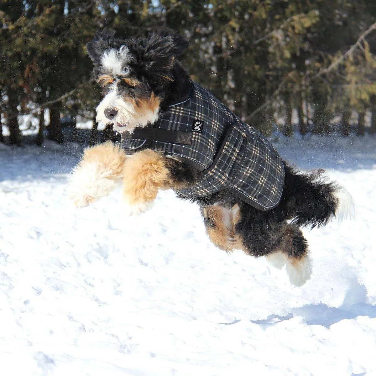 Shedrow Dog Coats