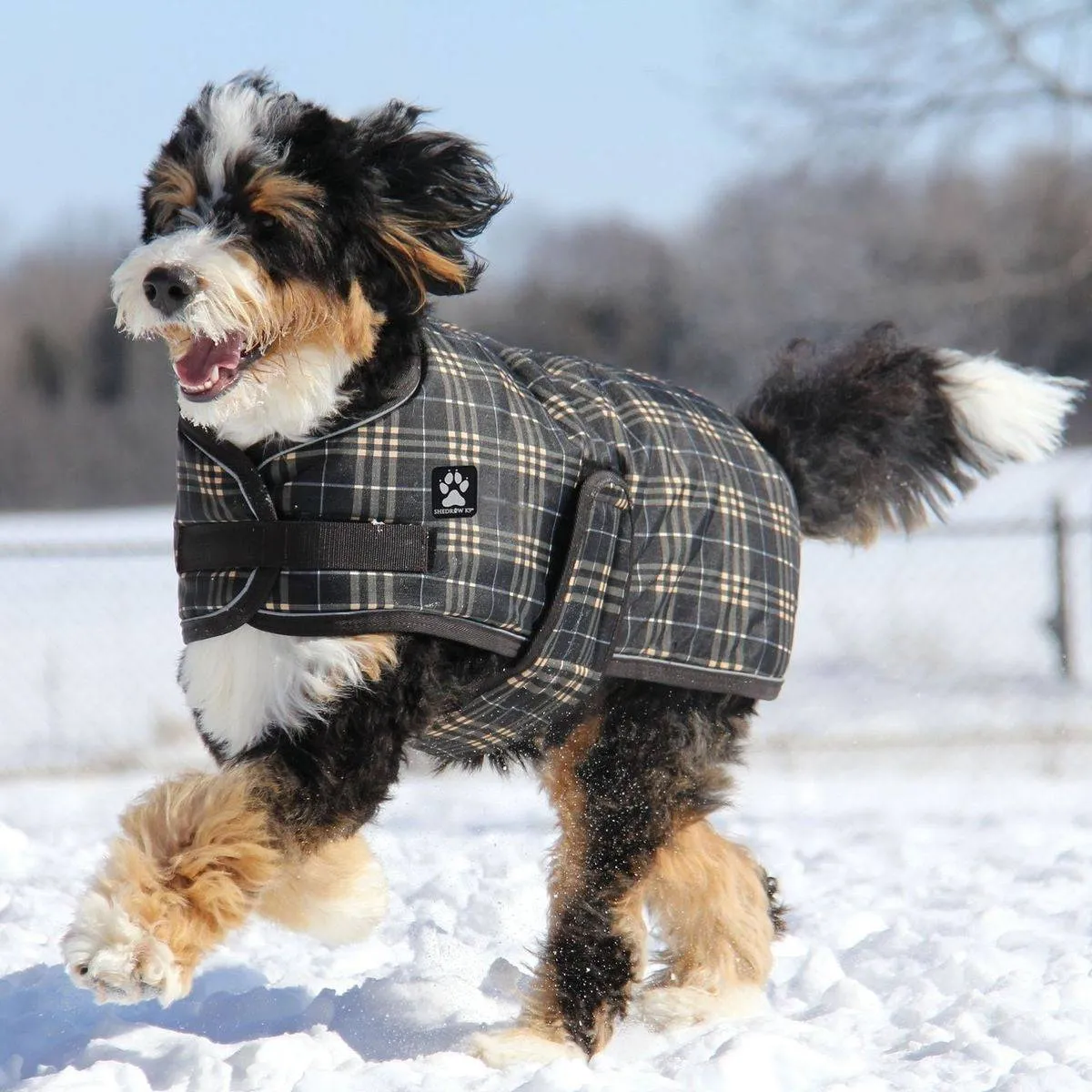 Shedrow Dog Coats